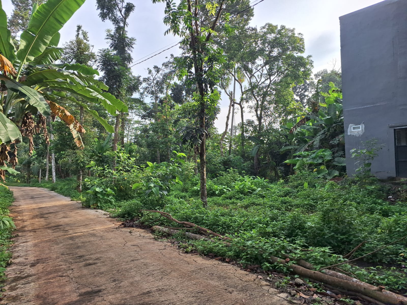 KAVLING PATEMON UNNES GUNUNGPATI SEMARANG