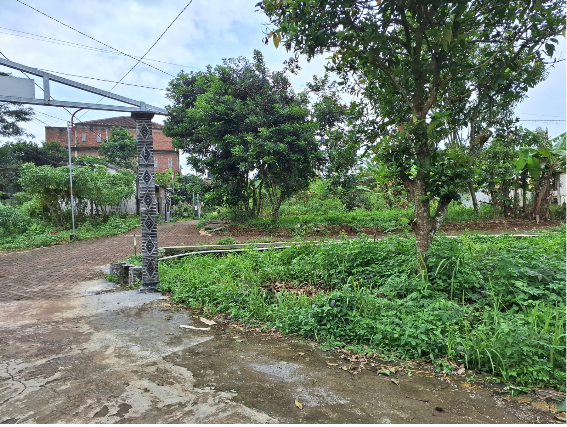 TANAH HOOK BELAKANG PONPES RIYADHUS SHOLIHIN MBIBIS NGIJO GUNUNGPATI SEMARANG