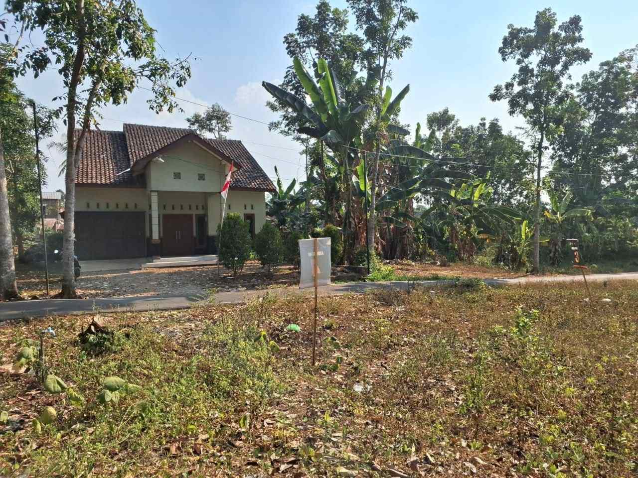 Tampak rumah sekitar kavling Sidodadi Residence Mijen dengan patok penomoran kavling, pagar kayu, genteng limasan, lingkungan kos-kosan