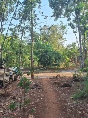 Lahan tanah kampung di Mendak Ngijo Gunungpati Semarang, akses paving, dikelilingi pemukiman padat penduduk dan pepohonan tropis, suasana kampung tenang.