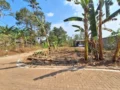 Lahan tanah hook 3 jalan di Sidodadi Mijen Semarang, akses paving, dikelilingi pohon pisang dan pemukiman padat nempel kos-kosan, view pagi hari cerah.