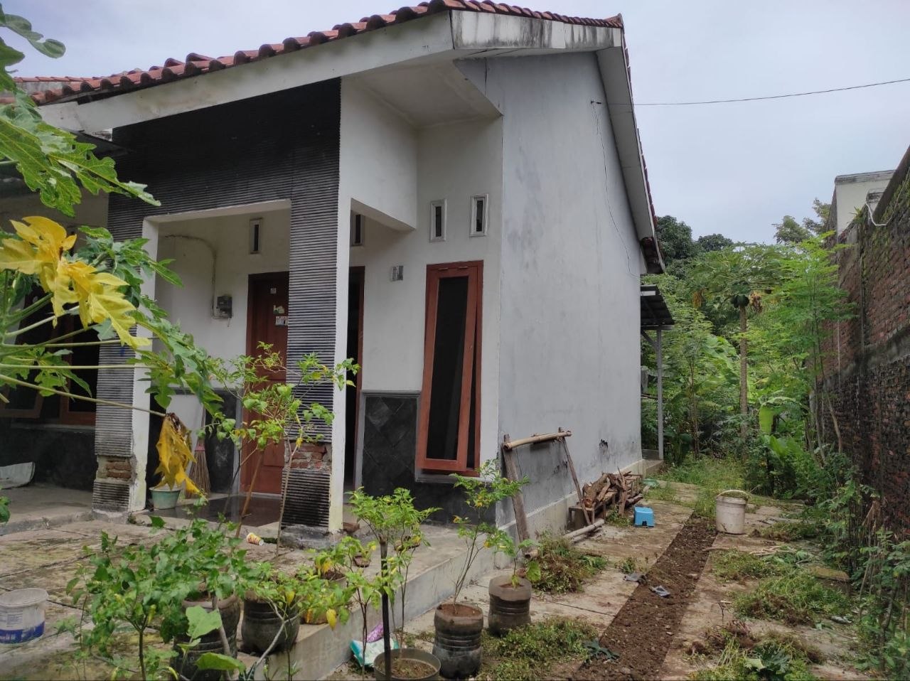 Foto properti tanah bonus rumah Ngaliyan Semarang Barat