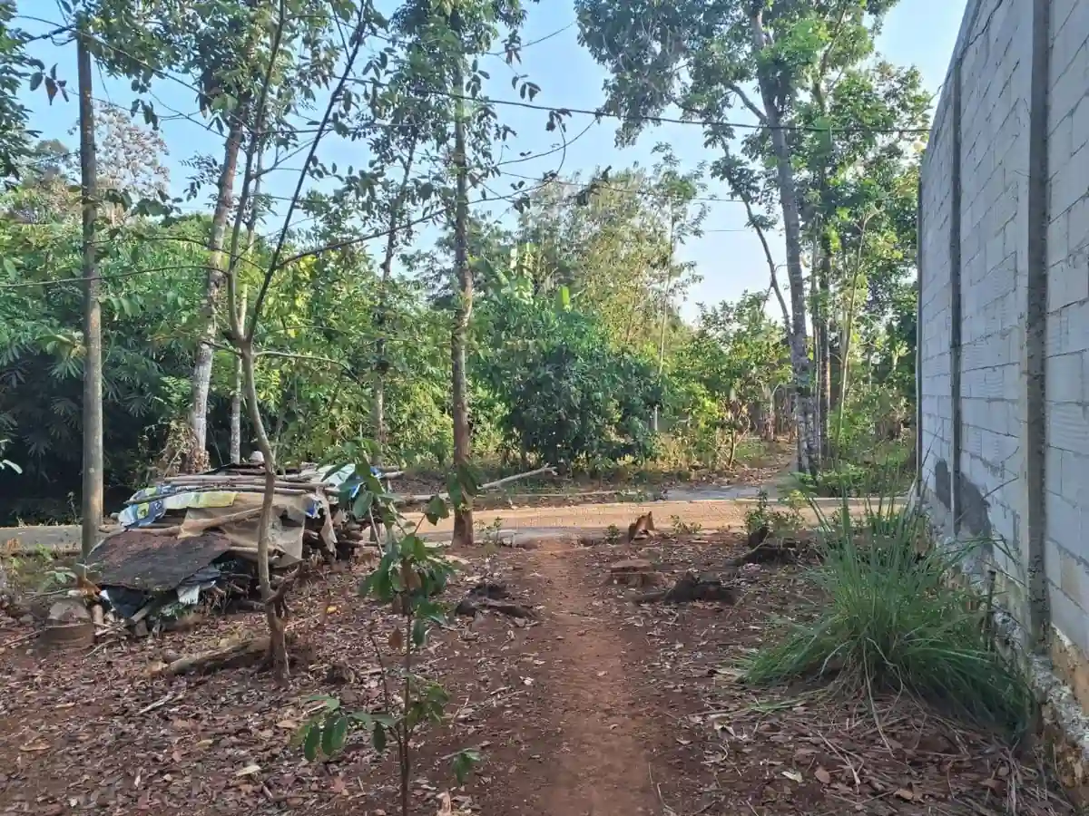 Foto kondisi aktual akses jalan paving masuk ke tanah kampung Mendak Ngijo, lebar cukup untuk mobil, dengan jalan utama kampung aspal di latar depan.