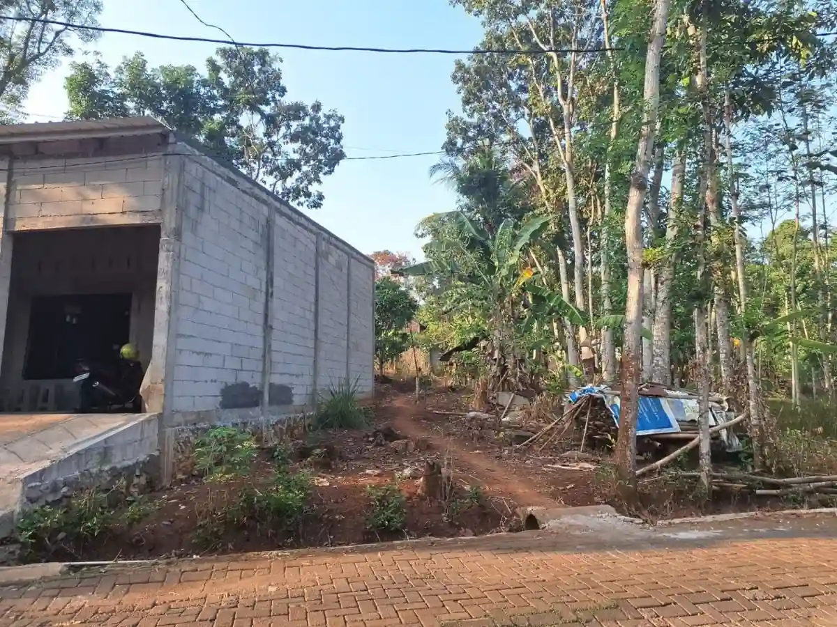 Foto batas tanah kampung Mendak Ngijo Gunungpati dengan tetangga rumah berdinding hebel, tanah berbukit dan vegetasi pohon, paving rapi di depan.