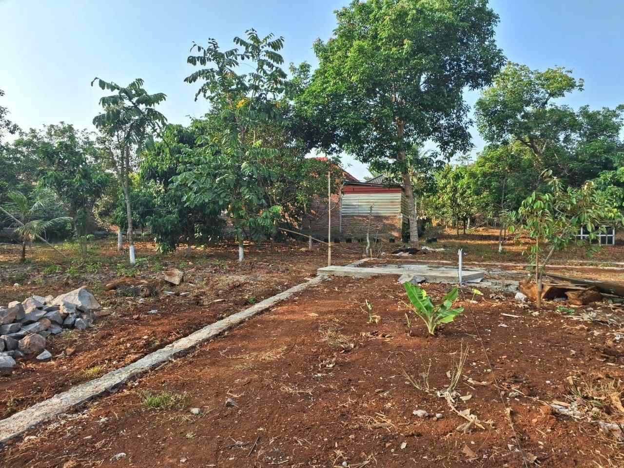 Kondisi tanah dijual 257 m² di Ngijo Gunungpati Semarang, dilihat dari sisi lahan yang terbuka