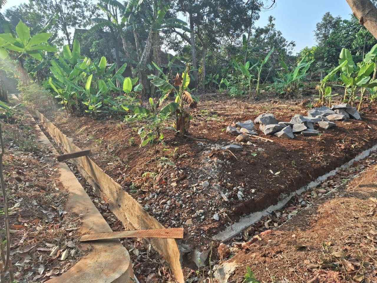 Tanah di Ngijo dengan batas beton dan vegetasi di sisi lahan