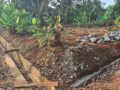 Tanah SHM 257 m² dijual di Ngijo Gunungpati Semarang, akses mobil dan dekat perkampungan