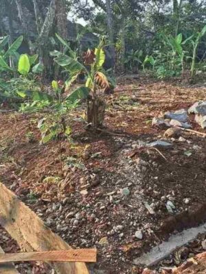 Tanah SHM 257 m² dijual di Ngijo Gunungpati Semarang, akses mobil dan dekat perkampungan